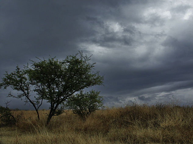 "Esperando la tormenta" 