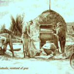 PRAT D'ABANS 2 thumbnail 1