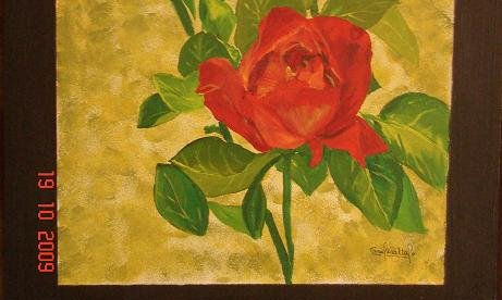 flores