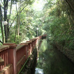 Paisajes thumbnail 2