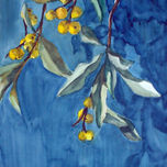 flores thumbnail 1