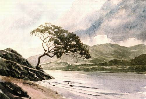 Lake Distrct Tree Watercolour