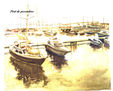 13. Port de pescadors