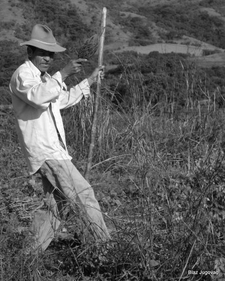 Campesino tirando linea de maiz Photojournalism and Documentary Black and White (Digital)