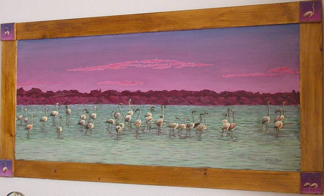 Flamencos marismas Sanlúcar de Barrameda