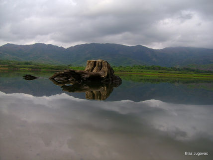 Reflejos del Dique