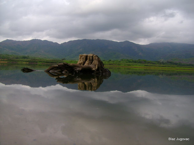 Reflejos del Dique Nature Color (Digital)