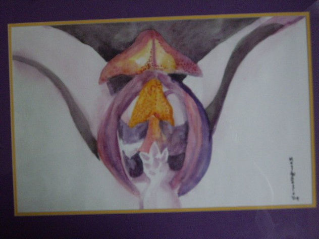 Organos Reproductivos de la Orquidea