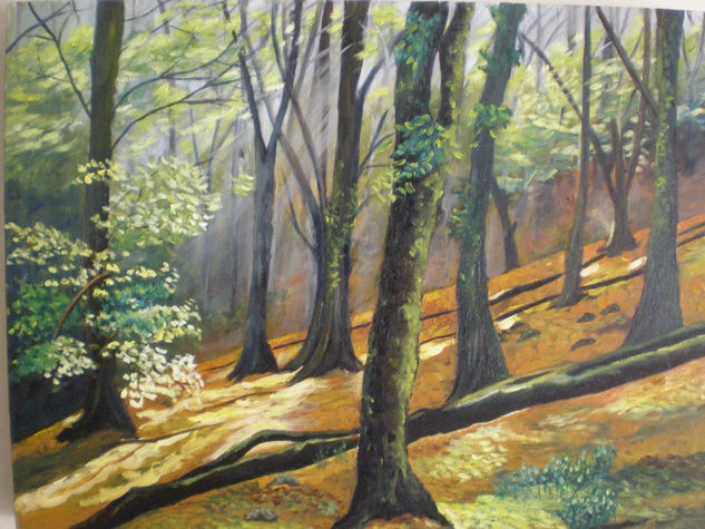 bosque Oil Canvas Landscaping