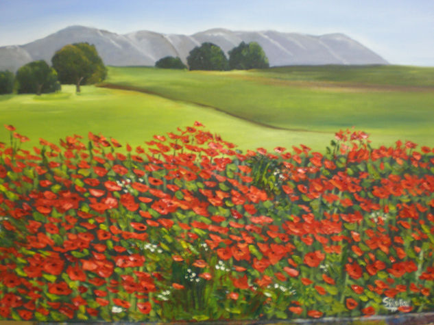 Amapolas Oil Panel Landscaping