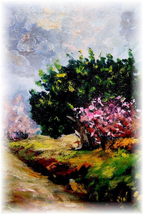 camino de mi casa