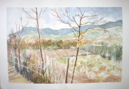Valle del jerte