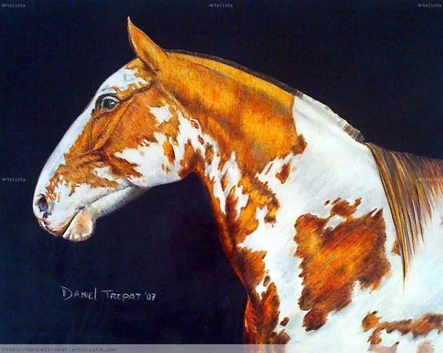 Caballo Mixed Media