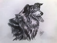 Perro