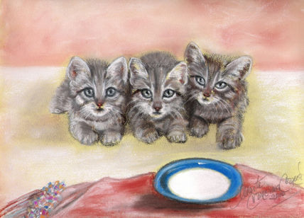 Miau x 3