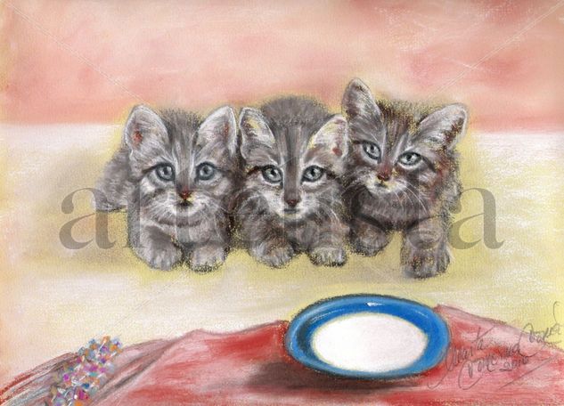 Miau x 3 Pastel Papel Animales