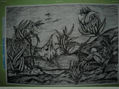 acuario