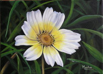 Flor