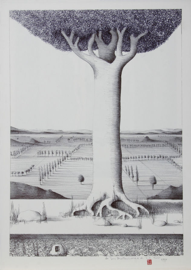 ARBOL