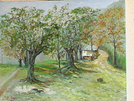 Camino hacia el monte