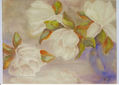 Magnolias reflejadas sobre la mesa