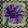 Gerberas II