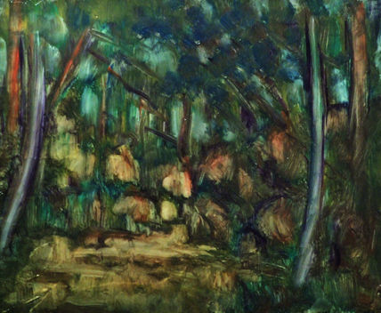 Rocas en el bosque...
