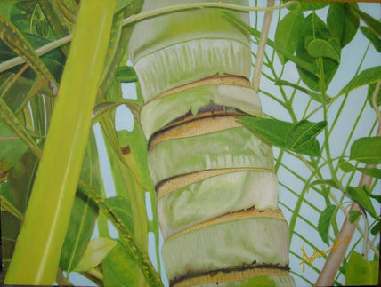 Paisaje Tropical