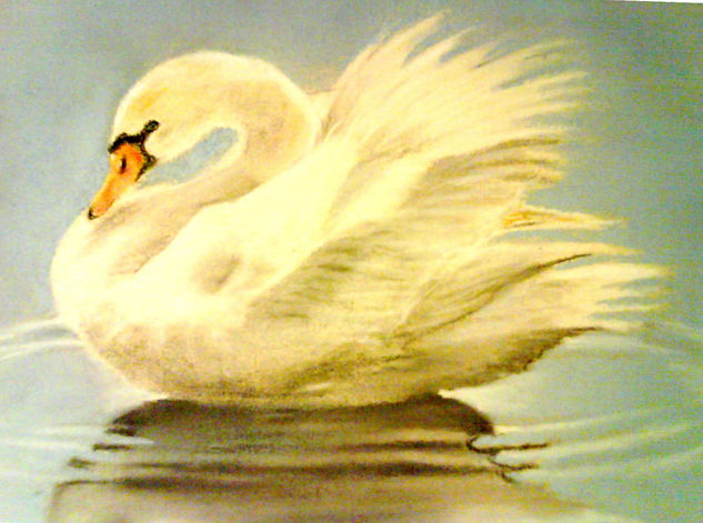 CISNE Pastel Papel Animales