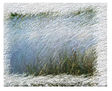 paisaje