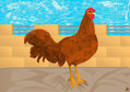GALLO