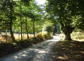 Senda en el Gorbea