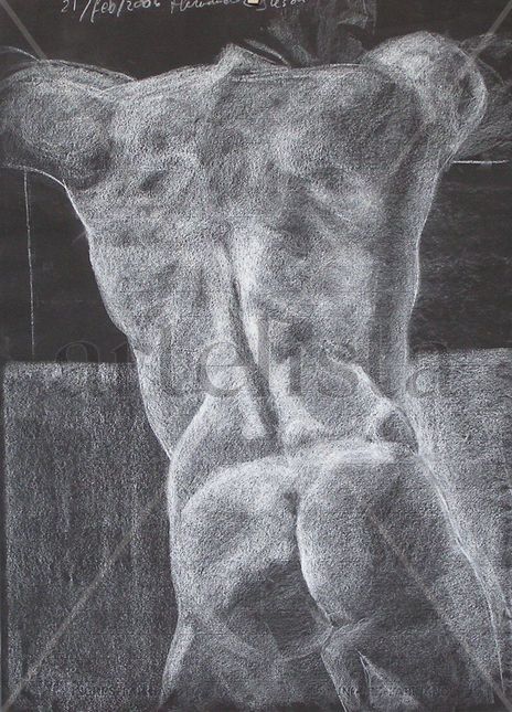 Torso espalda