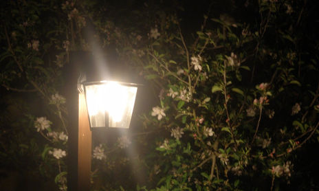 Noches