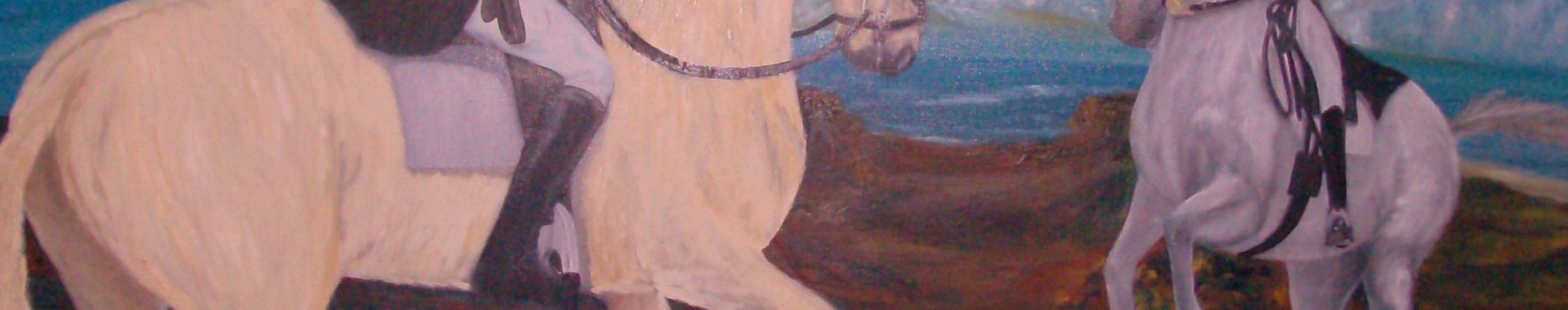 Imagen de portada