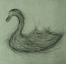 Cisne