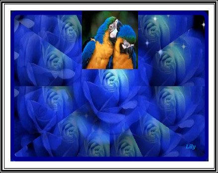 ROSAS AZULES Y LOROS 