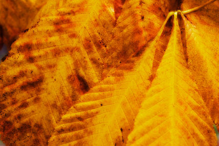 Colores 2