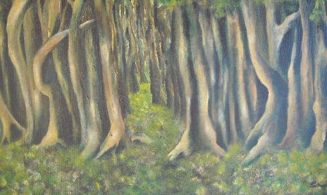 bosquesyarboles