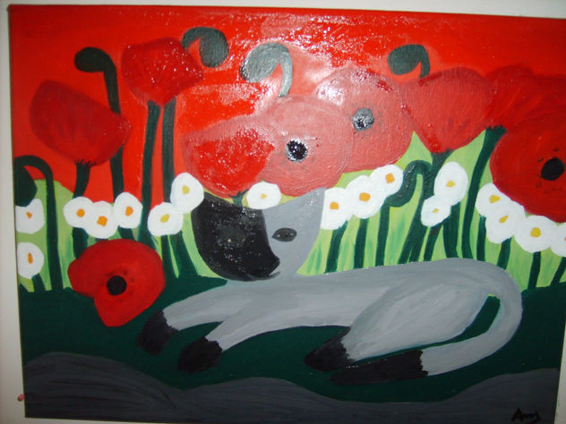 THE CAT
