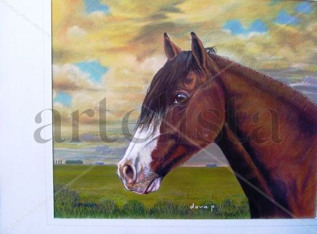 "PAMPERO" Caballo...