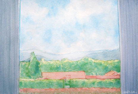 View from lee hall