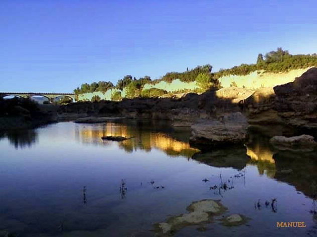 REFLEJOS