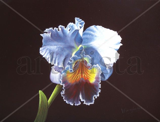 02-orquídea Oil Panel Floral Painting