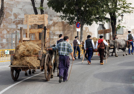 Trashumancia