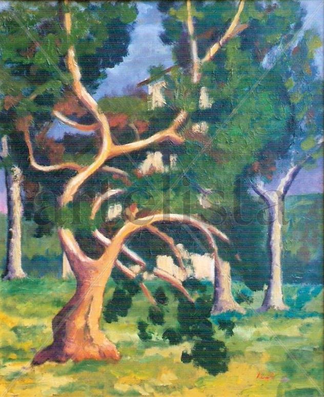 Arbre tort