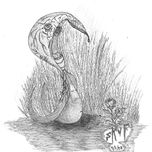 Dibujos thumbnail 1