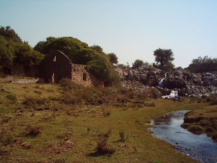 El viejo molino