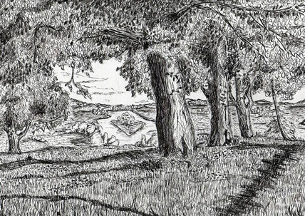 Paisaje