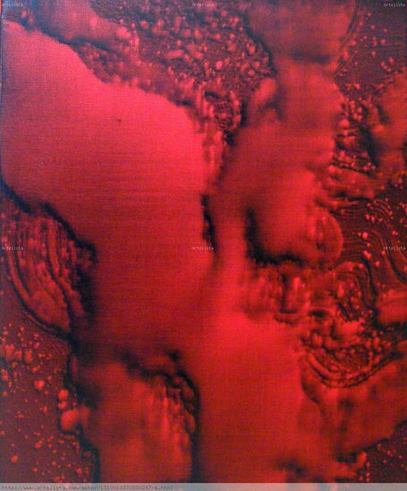 Red inside Oil Canvas Others